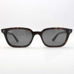 Ray-Ban 4456 Zaya 135987 sunglasses