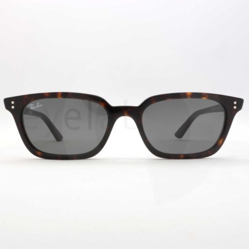 Γυαλιά ηλίου Ray-Ban 4456 Zaya 135987