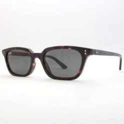 Ray-Ban 4456 Zaya 135987 sunglasses