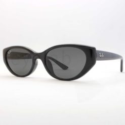 Ray-Ban 4457D 667787 sunglasses