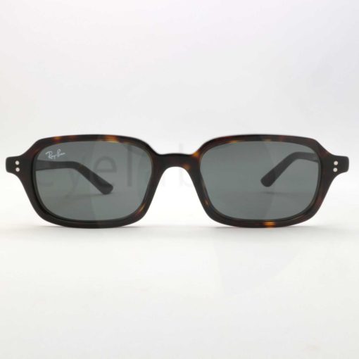 Ray-Ban 4455 Zuri 135987 sunglasses