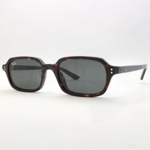 Ray-Ban 4455 Zuri 135987 sunglasses