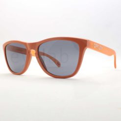 Γυαλιά ηλίου Oakley Frogskins 9013 M1