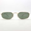 Ray-Ban 3947 00131 sunglasses