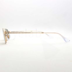 Ray-Ban 3947 00131 sunglasses