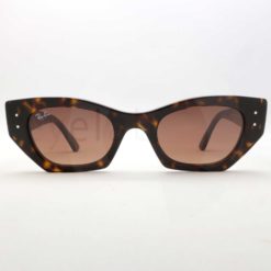 Γυαλιά ηλίου Ray-Ban 4430 Zena 135913