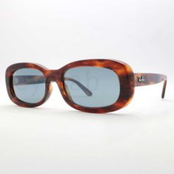 Γυαλιά ηλίου Ray-Ban 2221 95462
