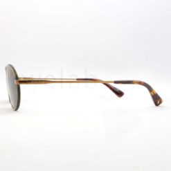 Polo Ralph Lauren 3162 932487 sunglasses
